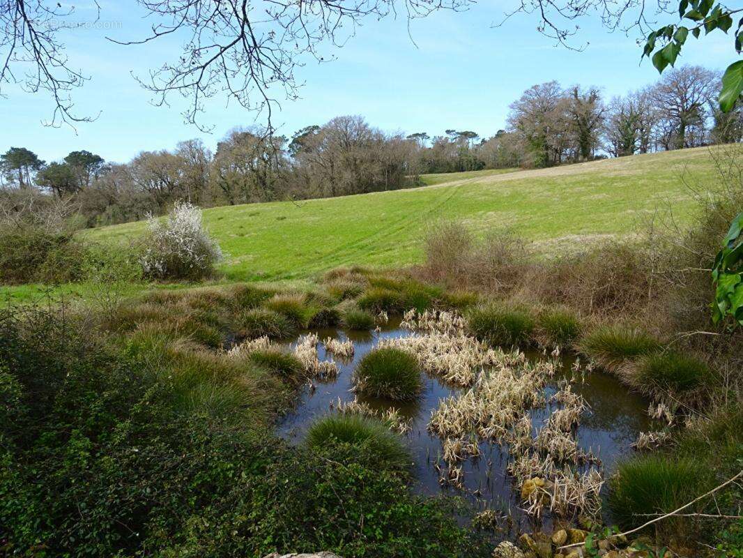 Landes 40250 Caupenne, propriété 21 ha avec habitation et dépendances - photo 12