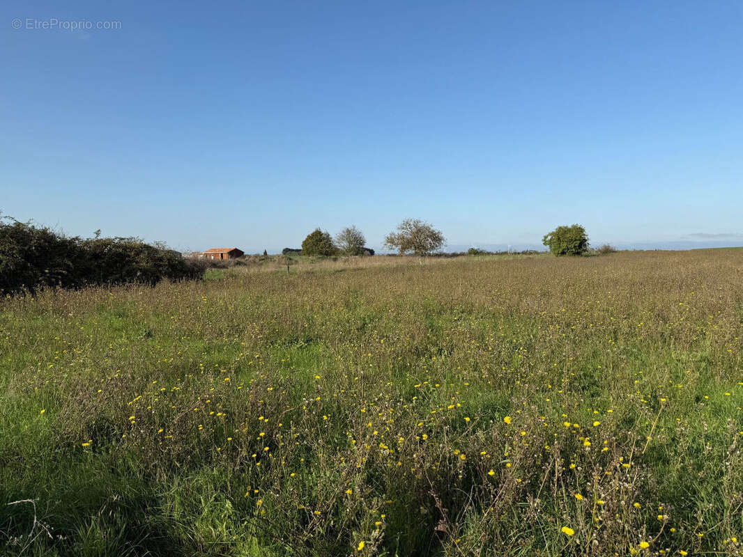 Photo 2 - Terrain à BOUILLE-COURDAULT