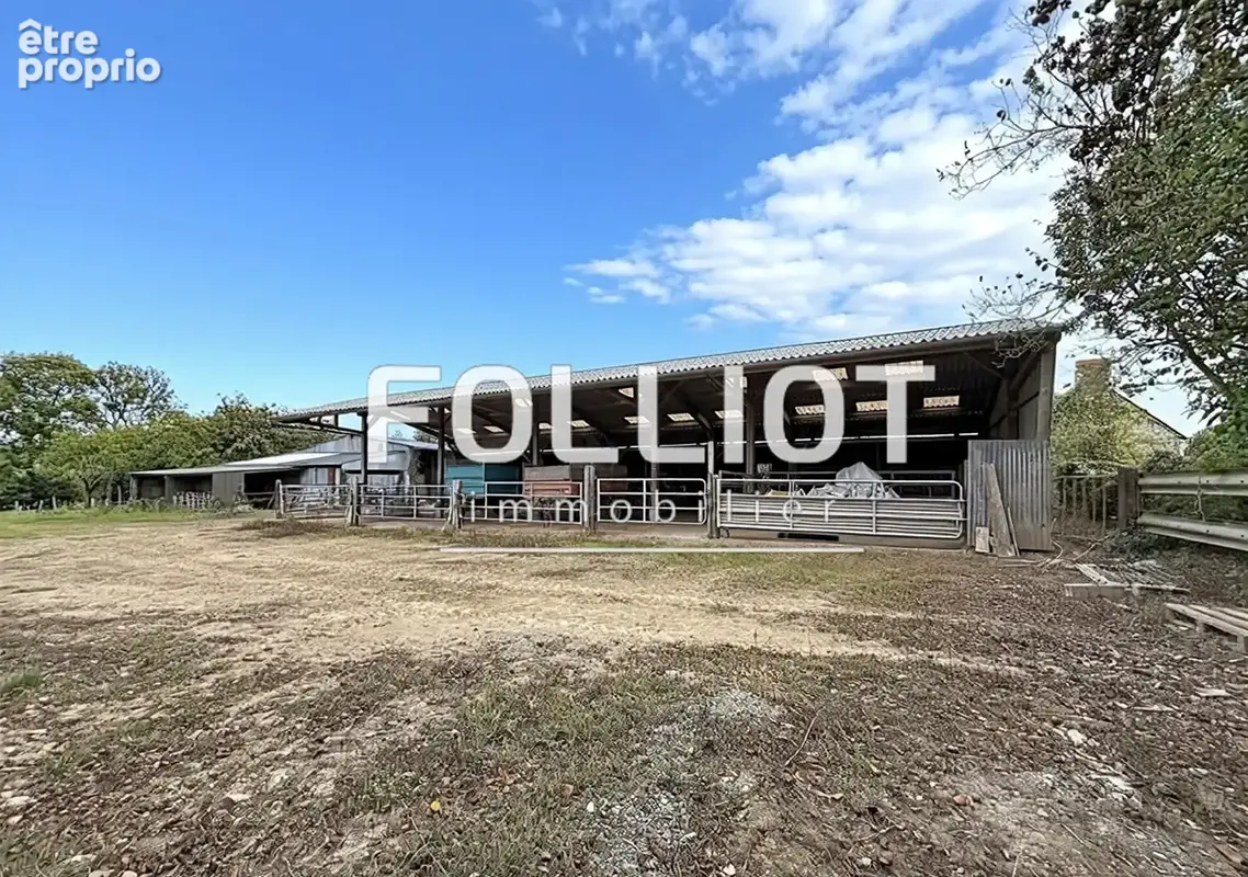 A VENDRE Maison avec terrain 50 000m²  -  Torigny Les Villes - photo 11
