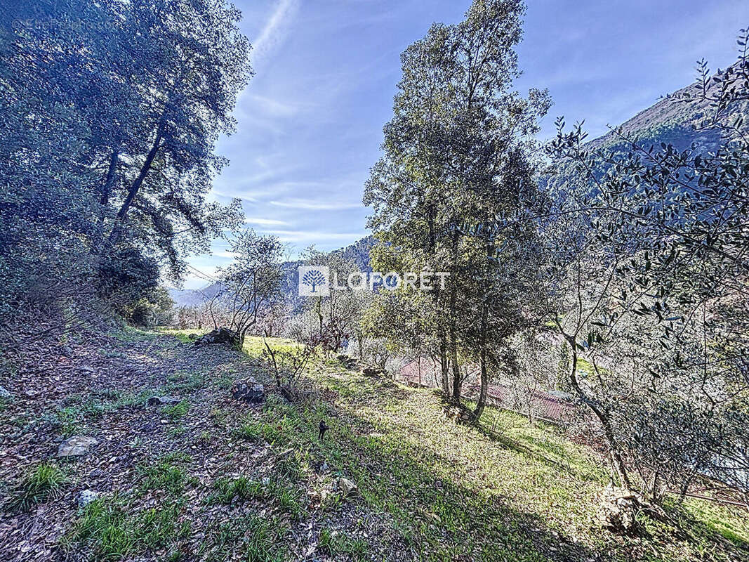 Terrain Castillon 1700 m2 constructible - photo 3
