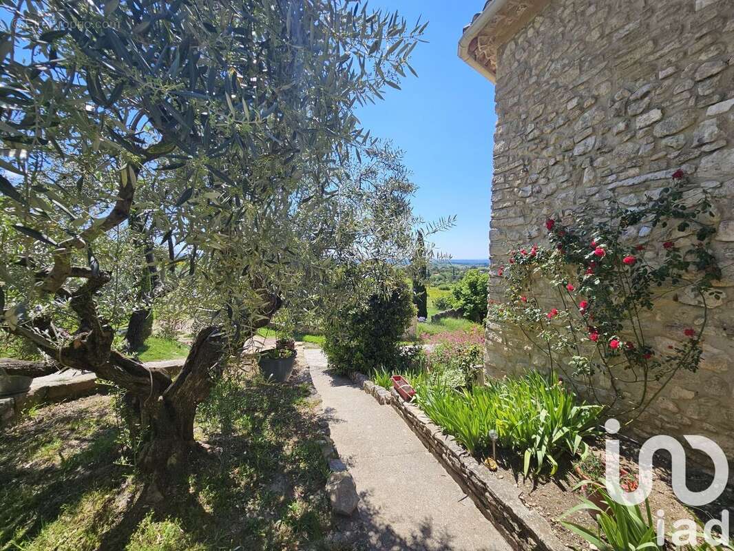 Maison 362 m² à Saint-Pierre-De-Vassols  - photo 2