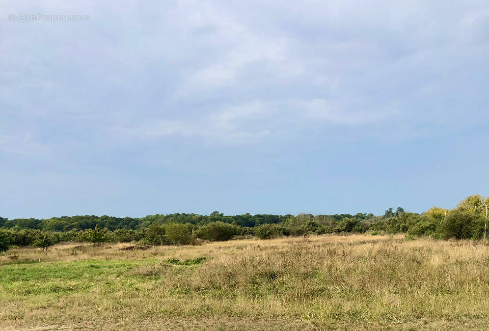 Terrain à LE VERDON-SUR-MER