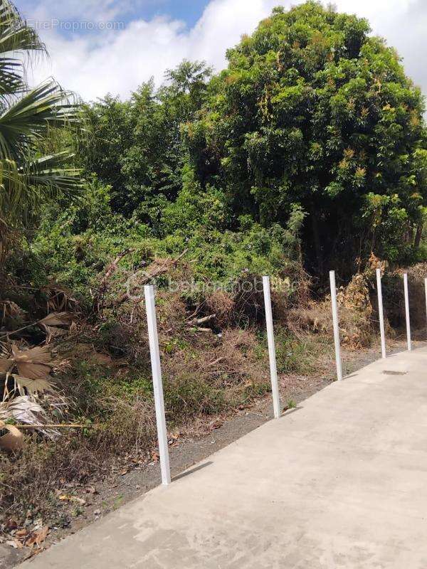 Terrain à ENTRE-DEUX