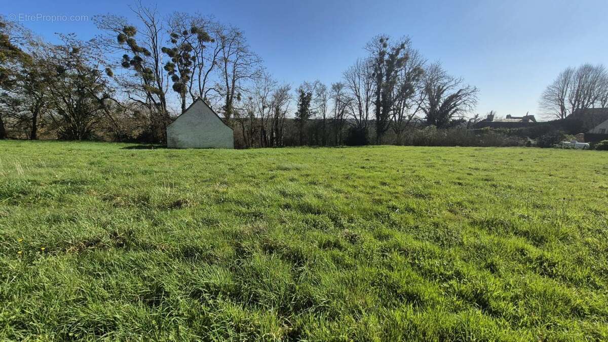 Terrain à FERCE-SUR-SARTHE