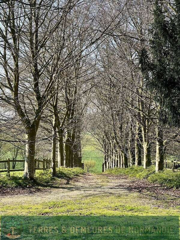 Maison à BOURG-ACHARD