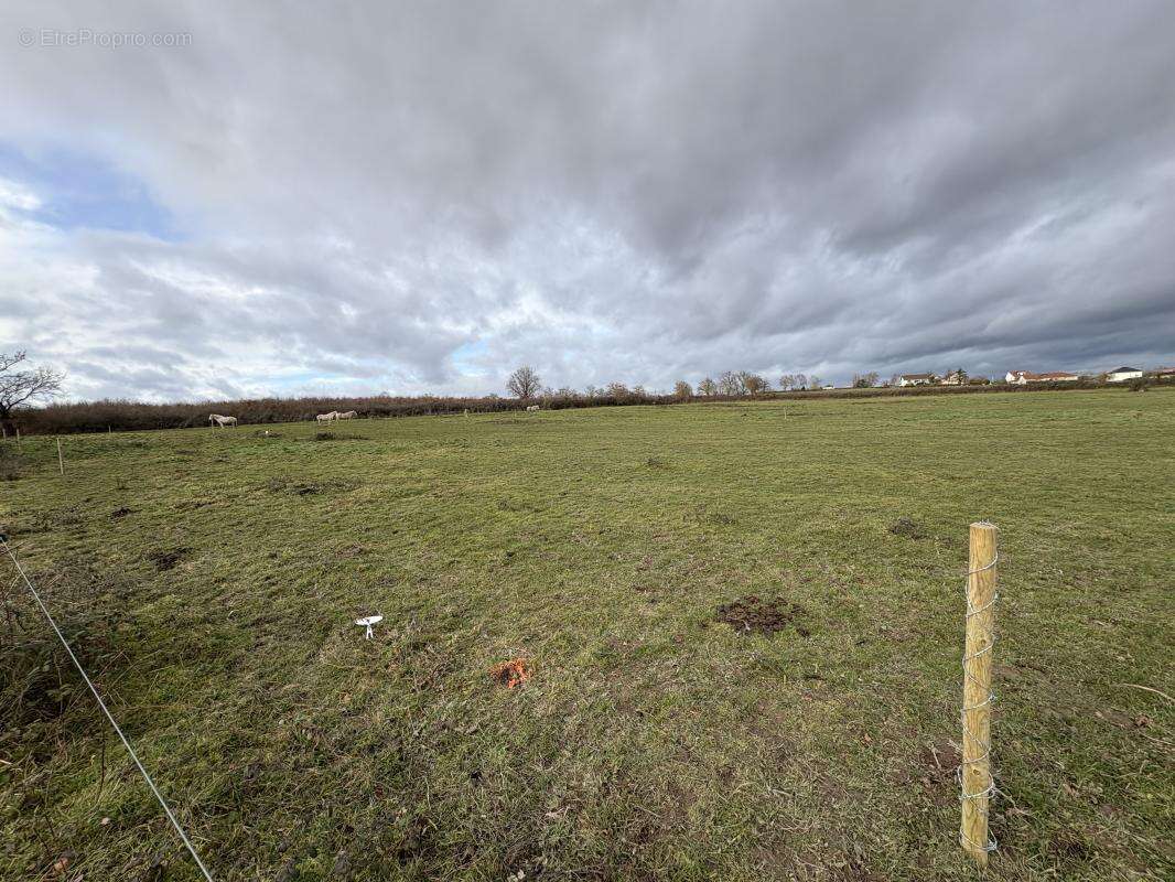 Terrain à VAUX