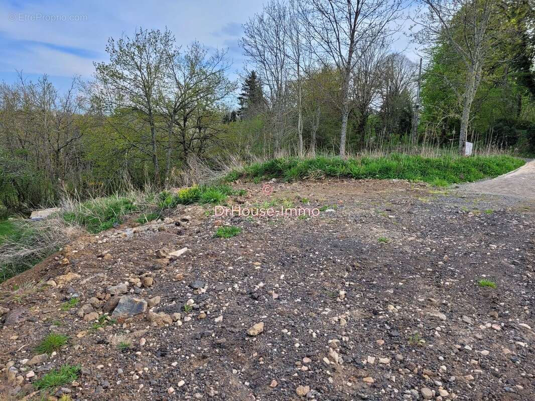Terrain 1486 m² à Charbonnieres-Les-Varennes  - photo 4