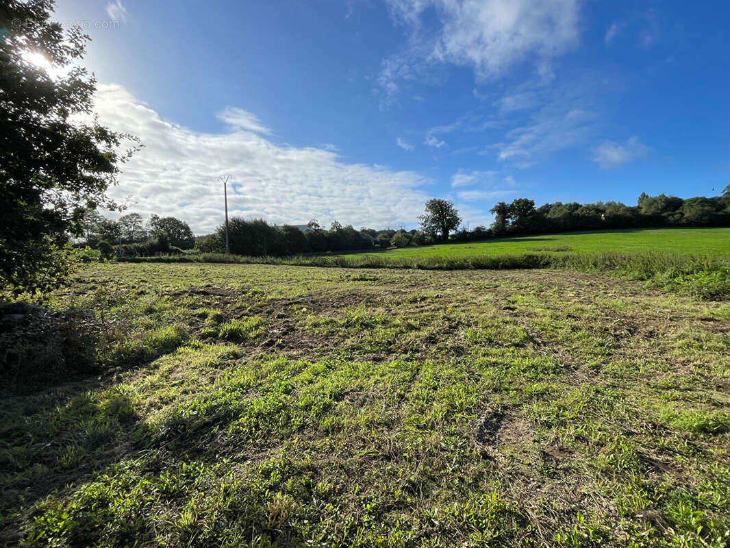 Commerce à SAINT-EVARZEC