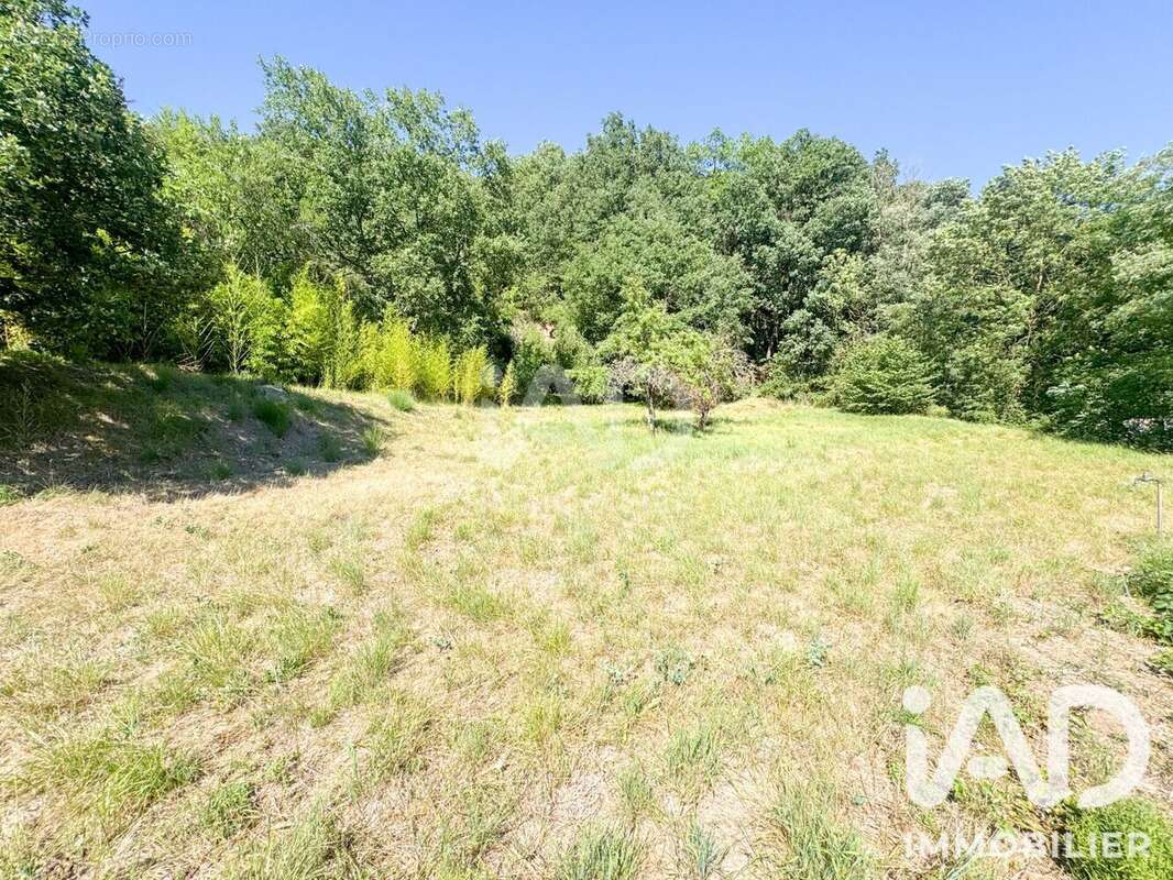 Terrain 12143 m² à Saint-Affrique  - photo 8