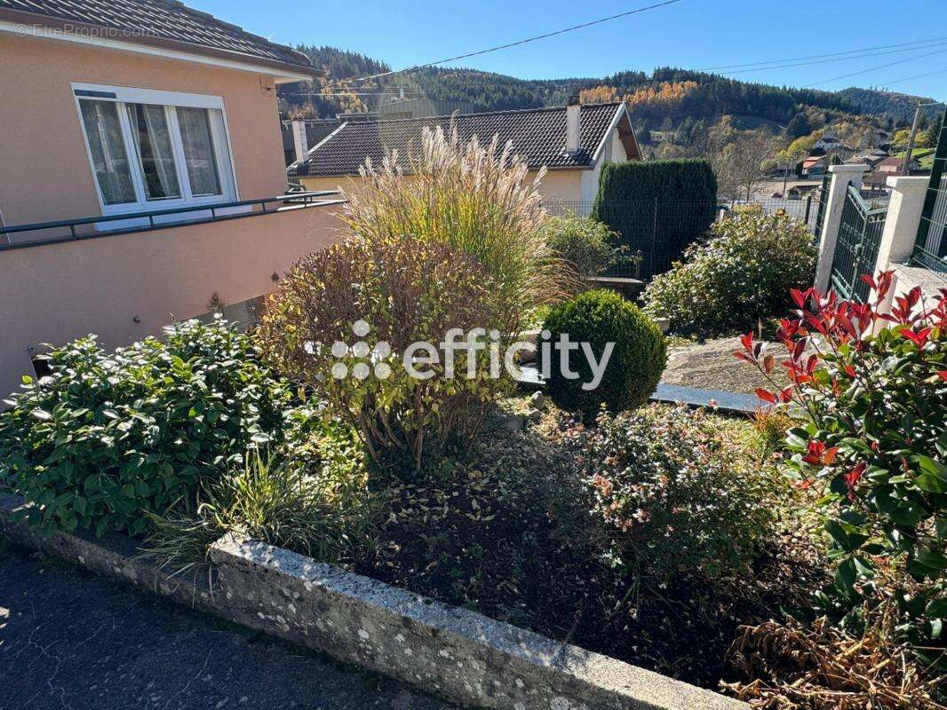 Maison à LA MONNERIE-LE-MONTEL