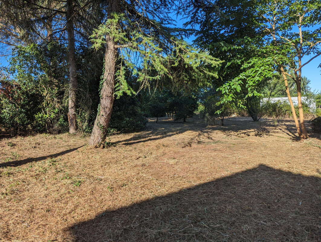 Terrain à RIVIERES