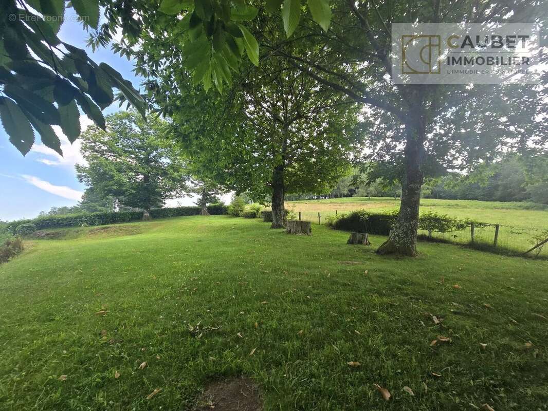 Maison familiale de 173 m2 avec grand jardin - Gerde - photo 10