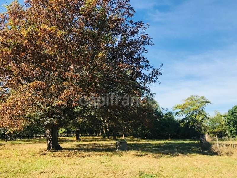 Terrain à LE CHAUTAY