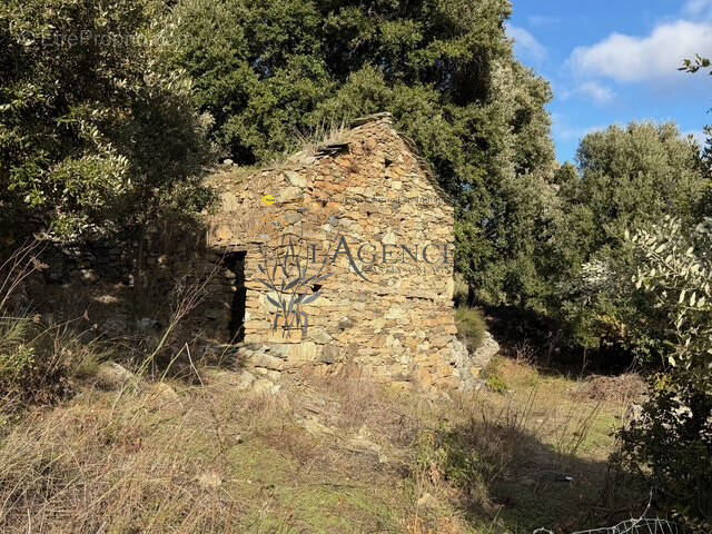 Maison à MURATO