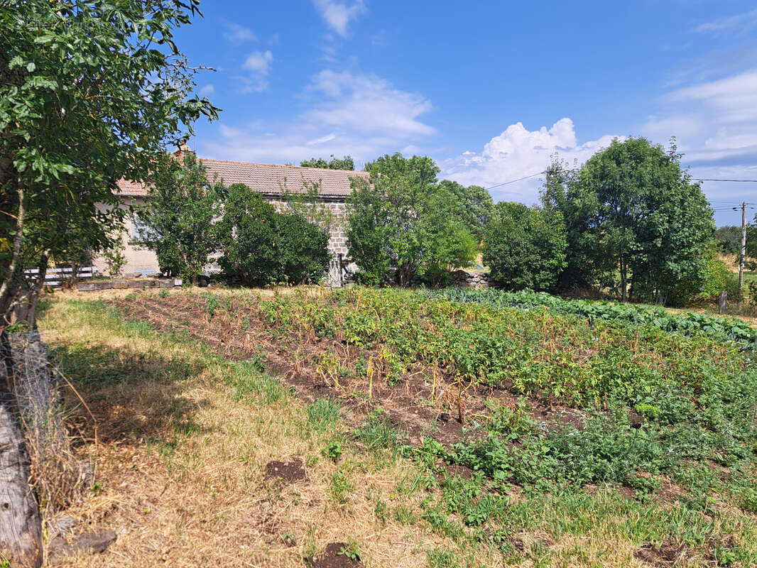 Ancienne ferme commune du Mazet st voy - photo 2