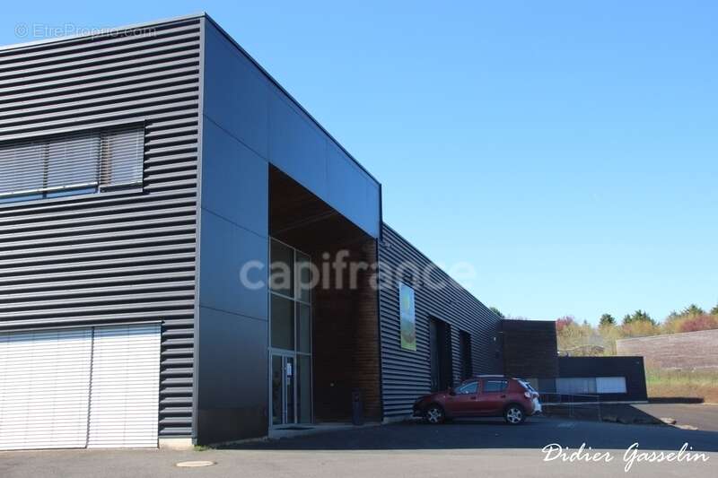 Commerce à BERD'HUIS