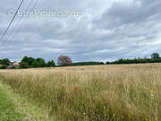 Terrain à MERY-SUR-CHER