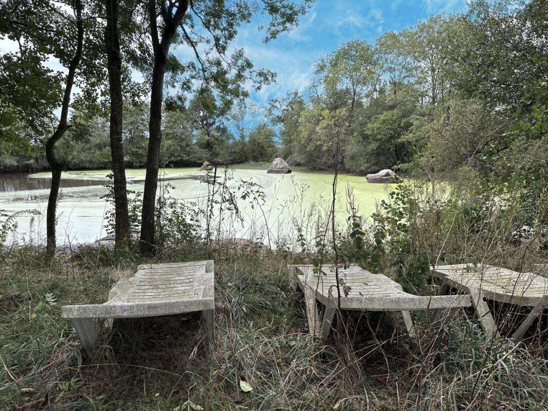 Terrain à CHAILLE-SOUS-LES-ORMEAUX