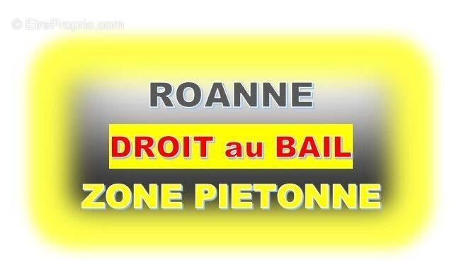 Commerce à ROANNE