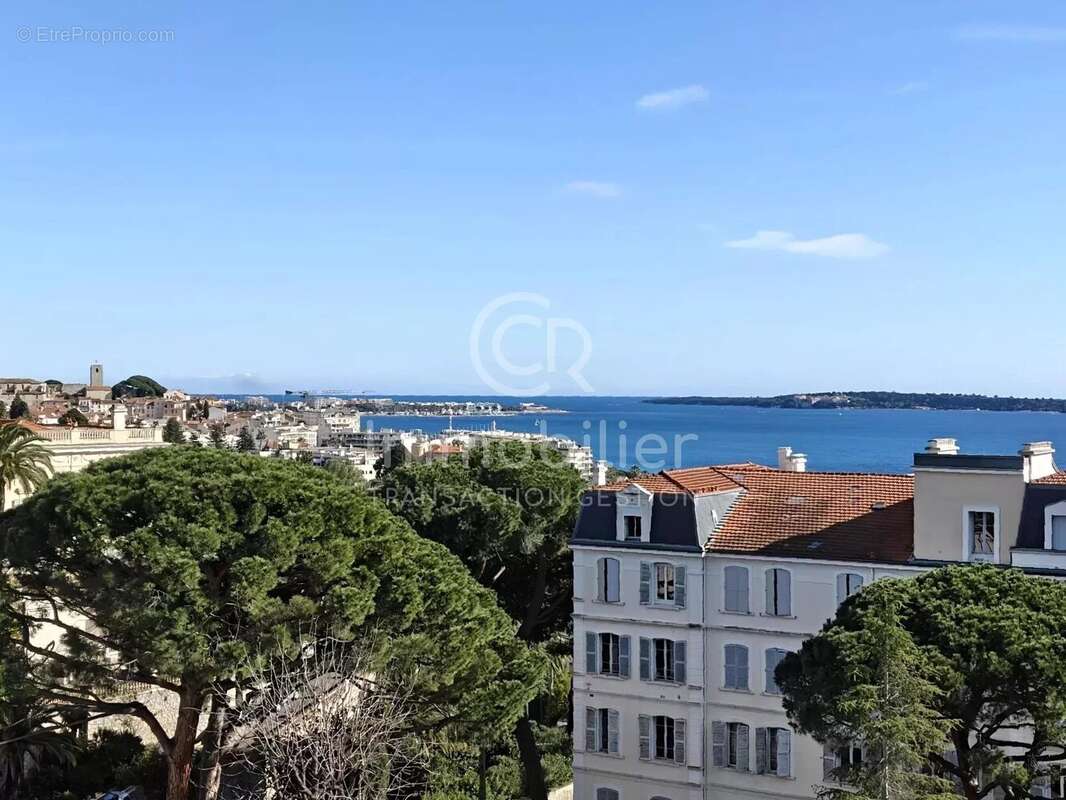 Maison à CANNES