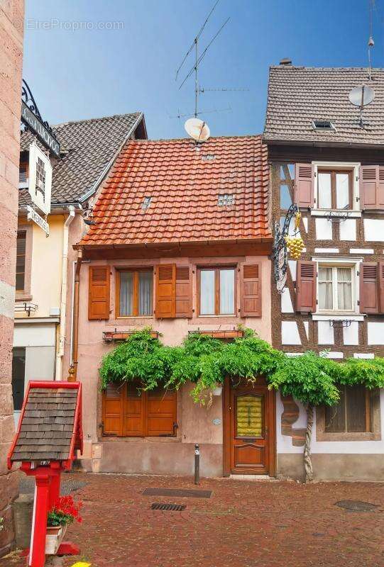 Maison à RIBEAUVILLE