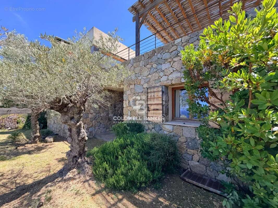 Corbara - Villa de Charme vue Panoramique - photo 33