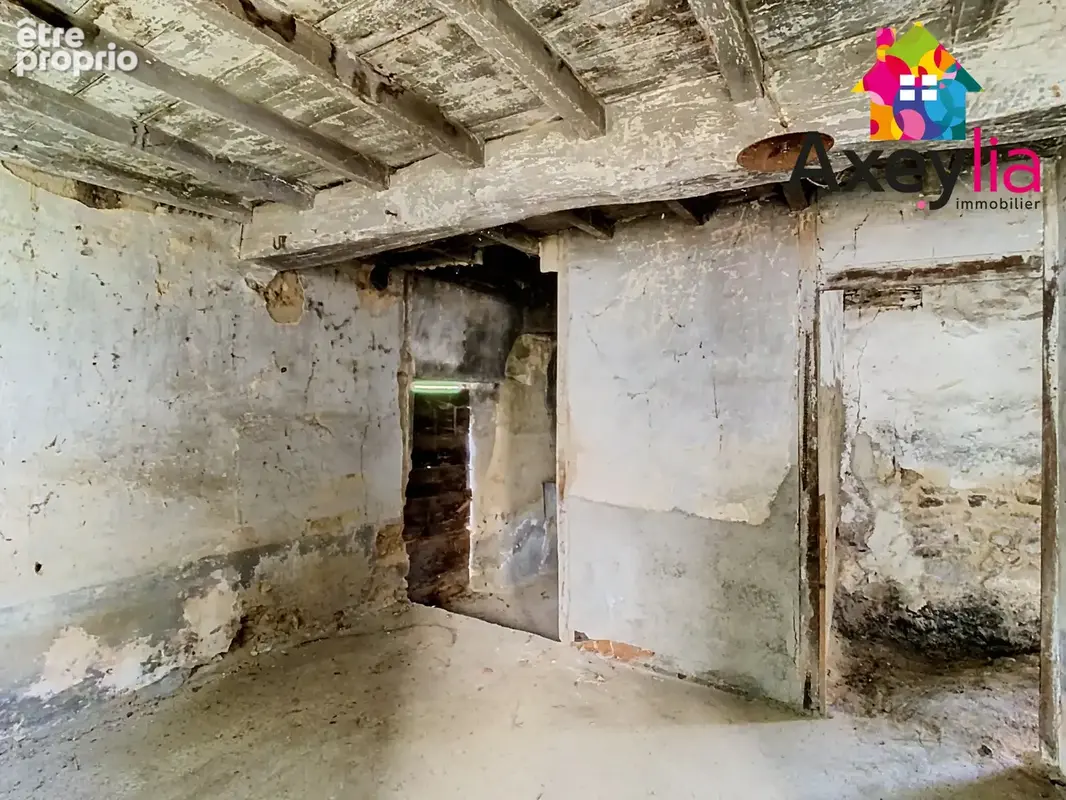 A vendre- panissieres- grange en pierres avec garage et jardin - photo 2