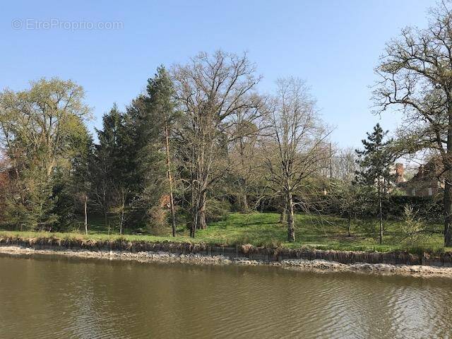 Terrain à BRINON-SUR-SAULDRE