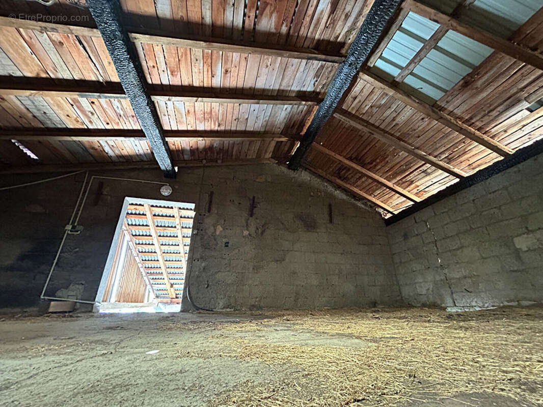 Commerce à SAINT-DIE-DES-VOSGES