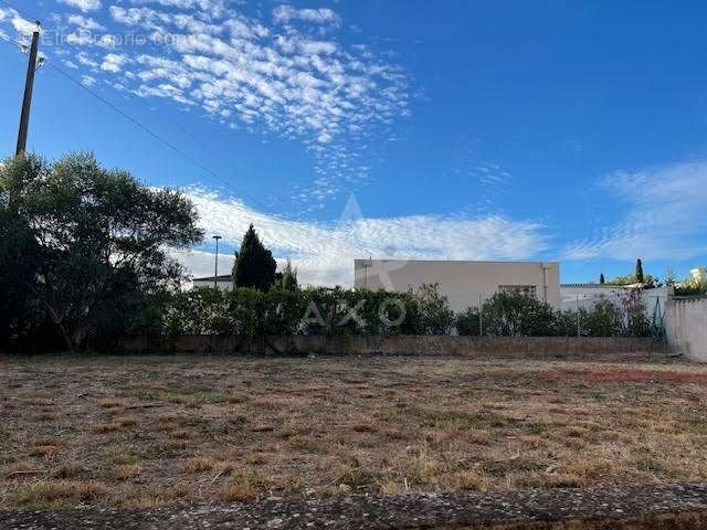 Maison à SAINT-ANDRE-DE-SANGONIS