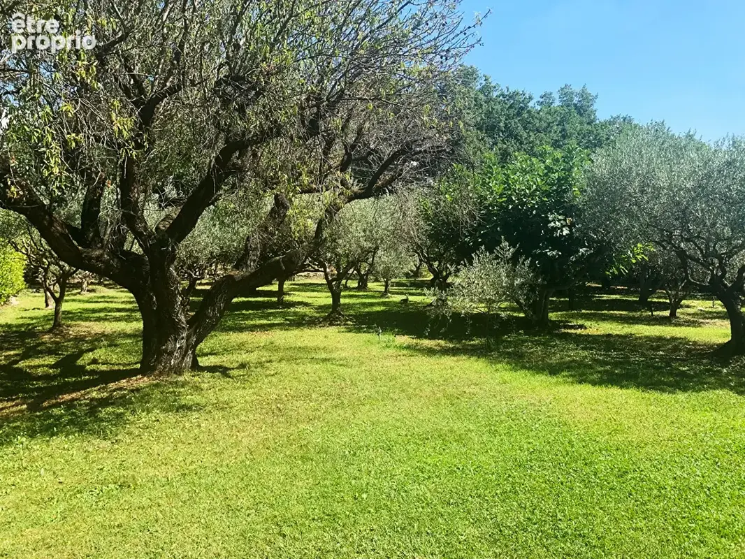 Superbe villa provençale avec piscine et  garage sur grand terrain clos. - photo 8