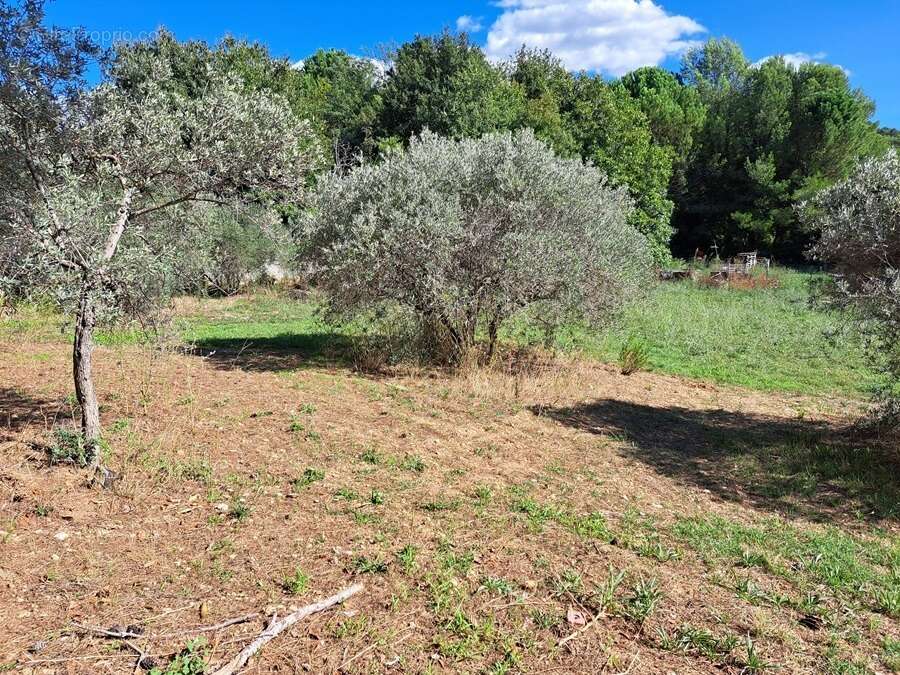 Terrain à VENTABREN