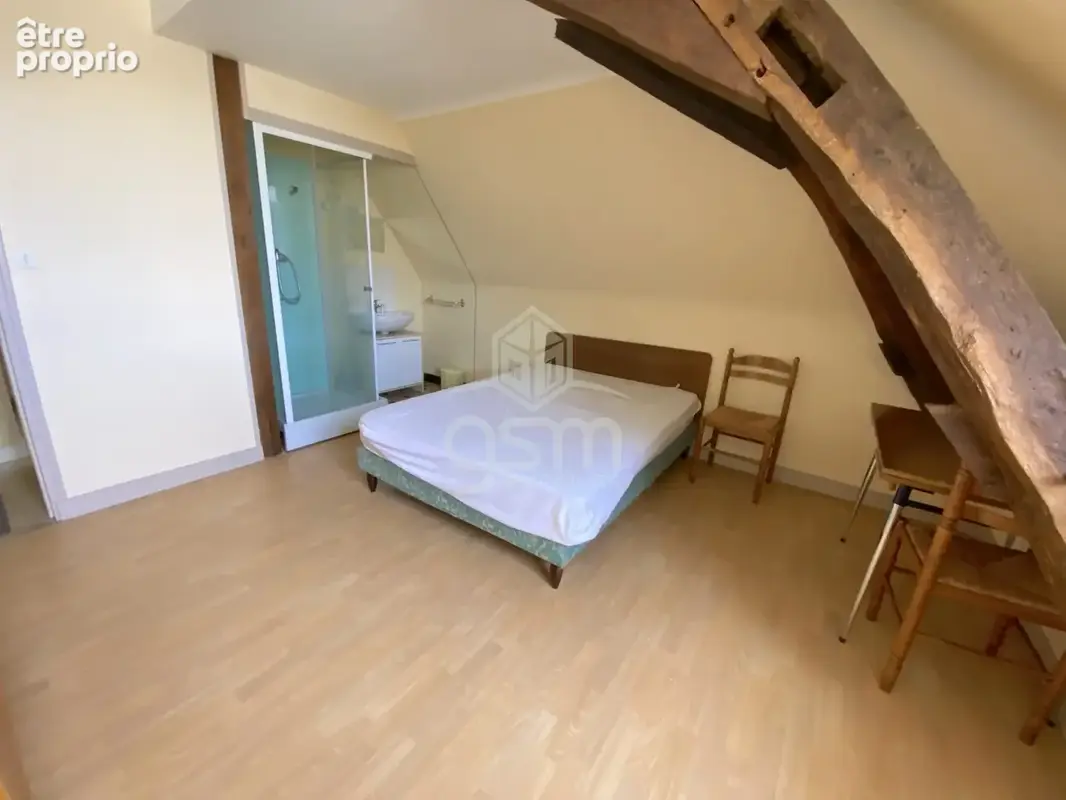 Appartement 436 m² à vendre à Sainte-Maure-De-Touraine (37800) - photo 6