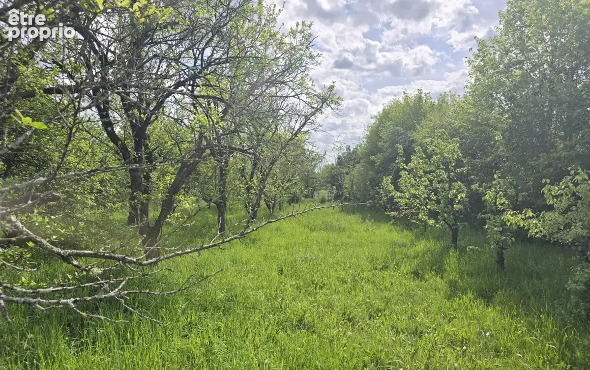 PRÉCIGNÉ   Terrain de loisirs / verger de plus de 1 800 m2 - photo 3