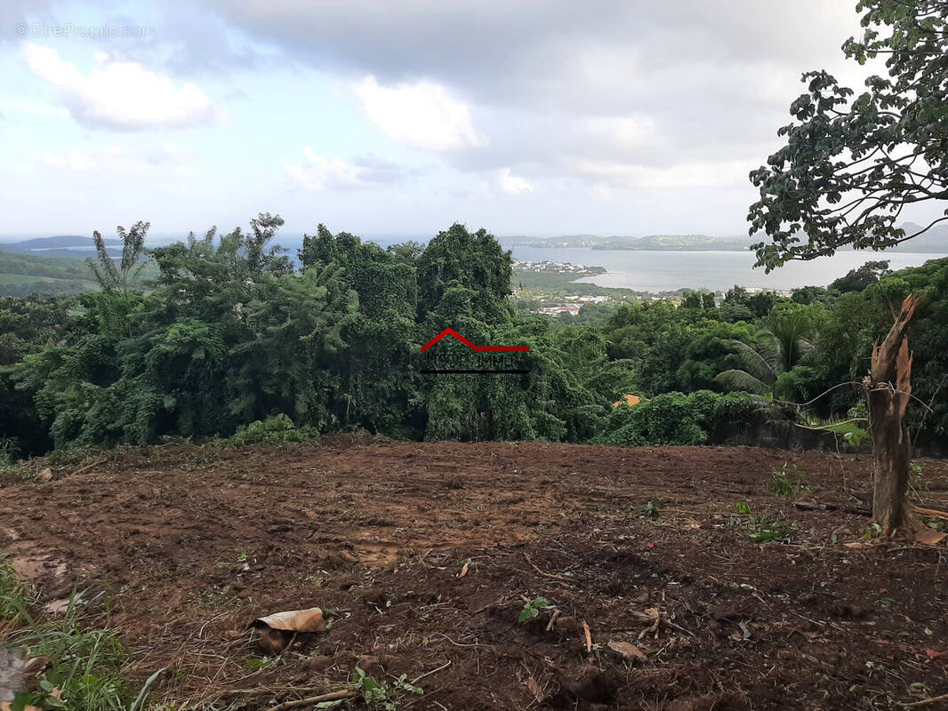 Terrain à LE ROBERT