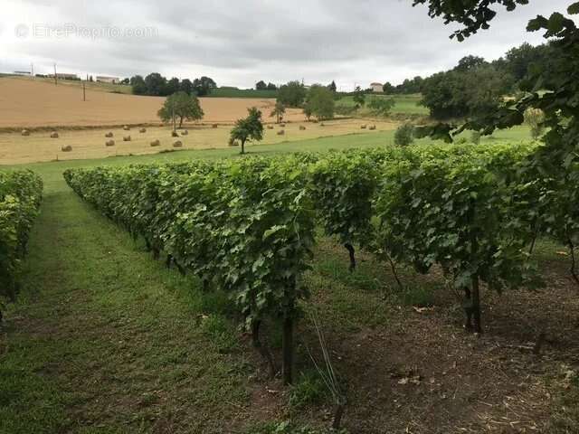 Maison à SAINT-SEVERIN