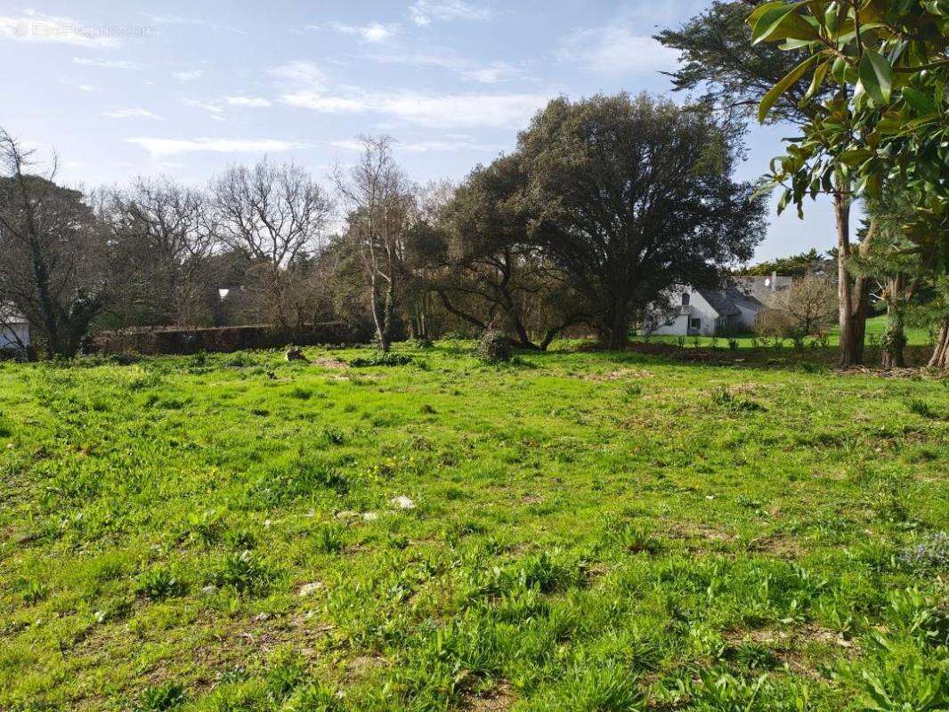 Photo 3 - Terrain à GUERANDE
