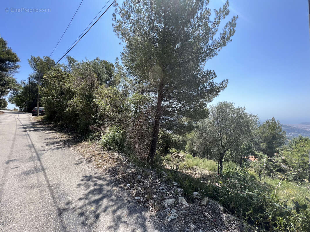 Terrain à TOURRETTE-LEVENS