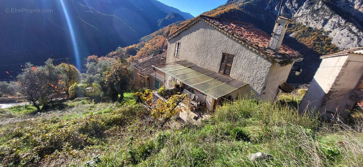 AIGLUN (06) Maison de villa et 13 hectares de terrain - photo 17