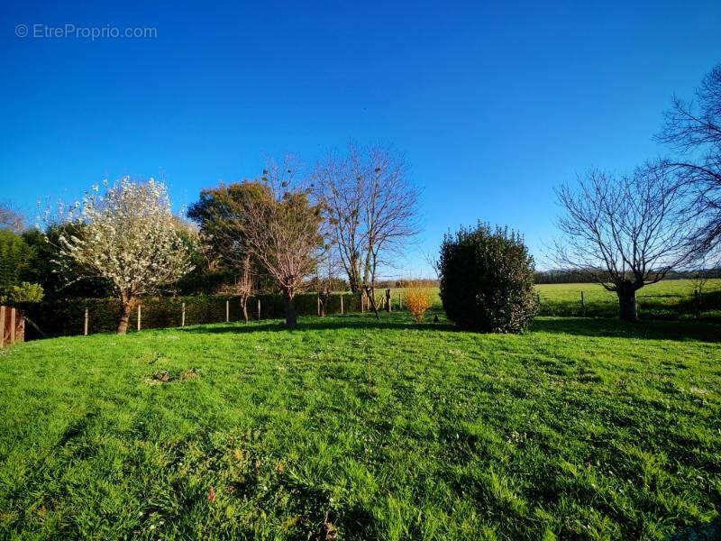 Maison à PONTONX-SUR-L&#039;ADOUR