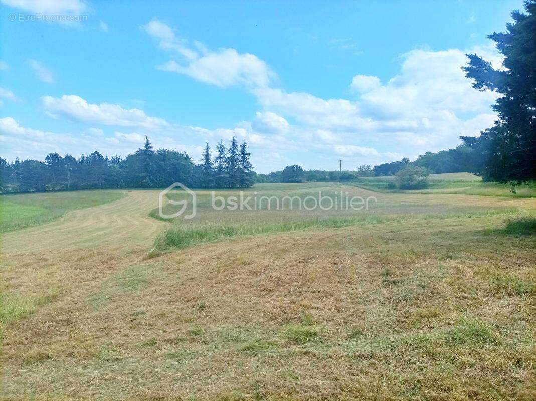 Authentique propriété en pierre avec dépendances sur près de 5 hectares de terrain - photo 29