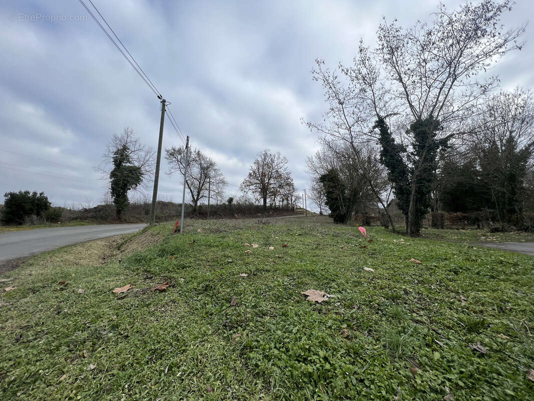Terrain à CAGNAC-LES-MINES