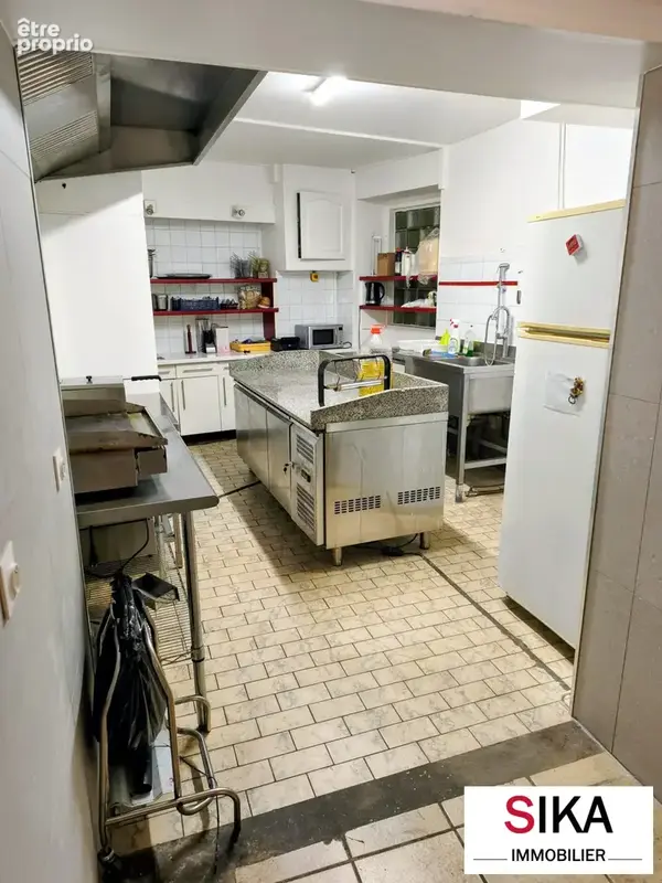 Maison 10 pièces 242 m² à vendre à Sarrebourg (57400) - photo 9