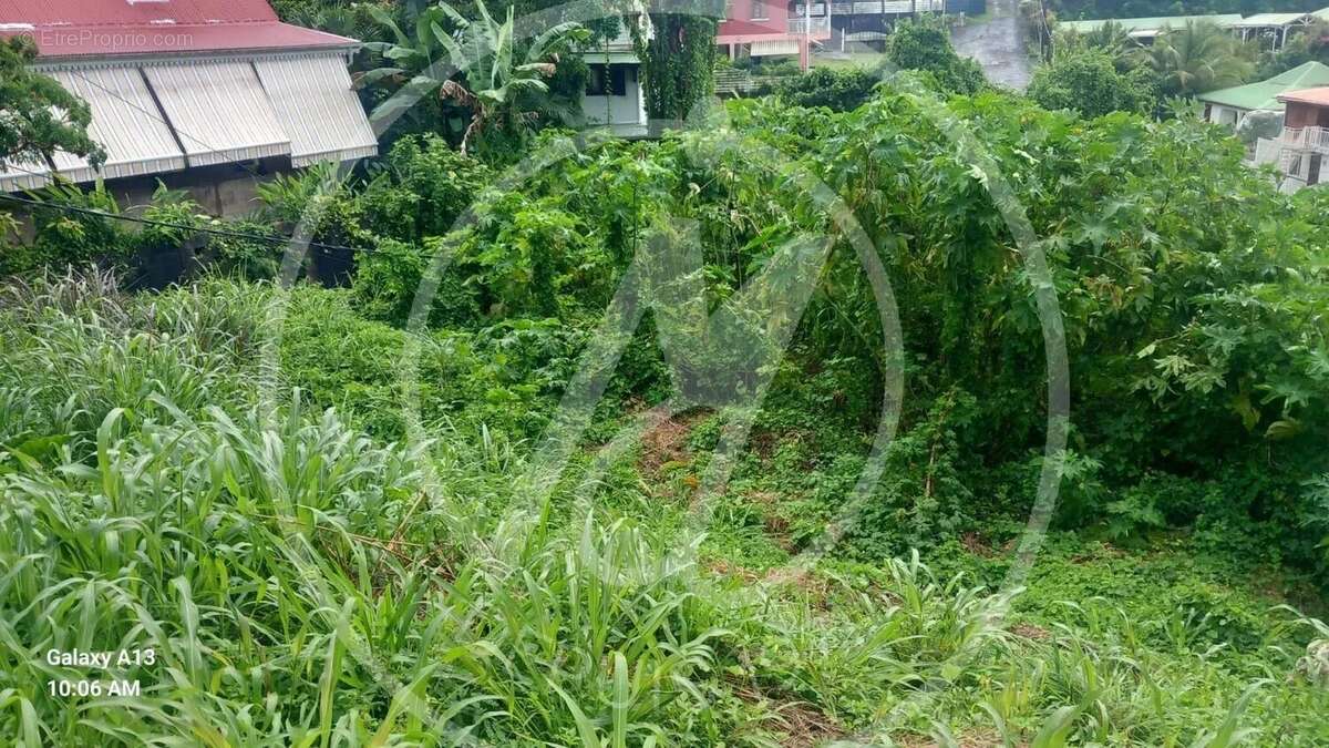 Terrain à LE GOSIER