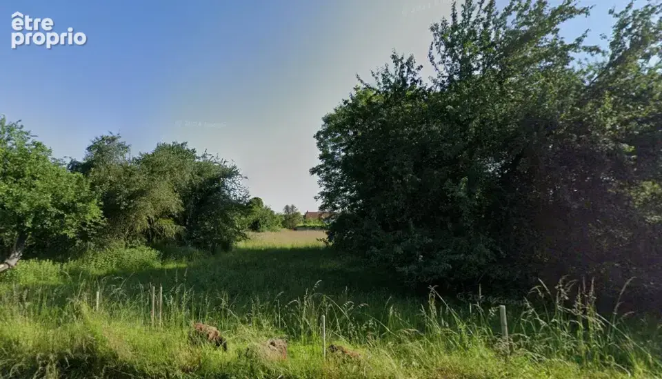Terrain à LES ECRENNES