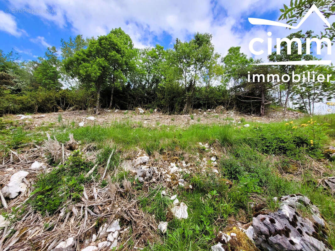 Terrain à LA CHAPELLE-EN-VERCORS