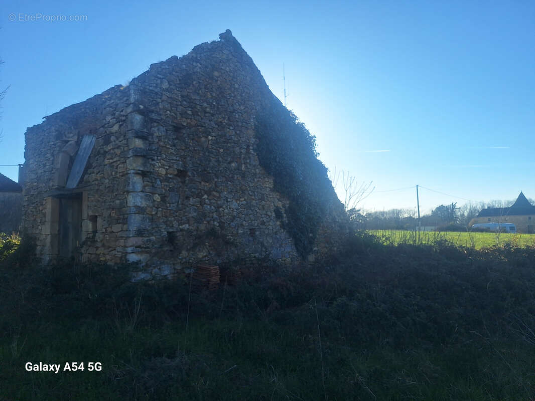 Ruine avec 3 ha - photo 6