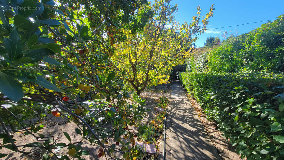 Maison à LEZIGNAN-CORBIERES