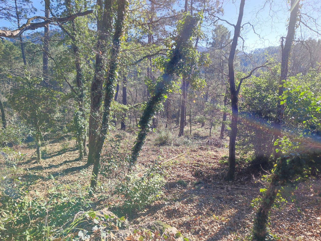 Terrain à LAVAL-PRADEL