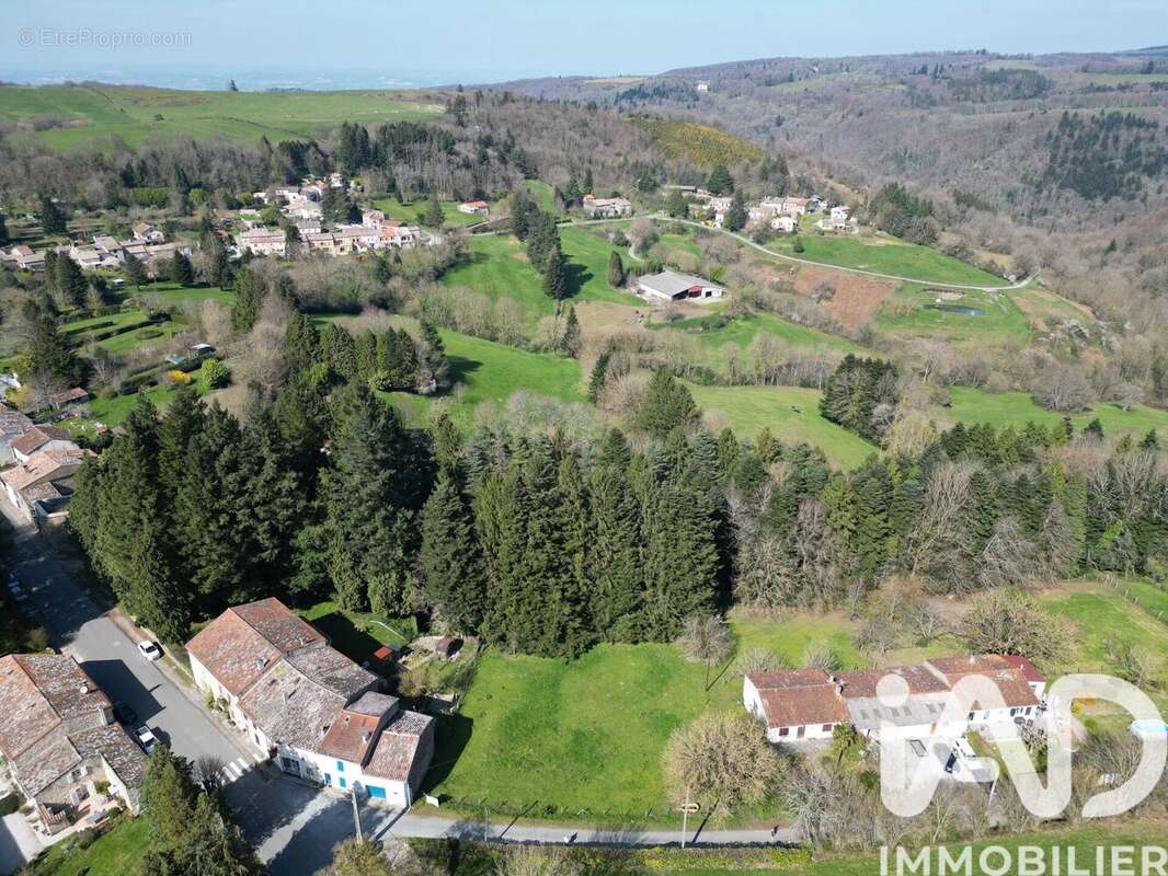 Photo 4 - Terrain à LES CAMMAZES